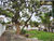 Casa, 3 quartos, 668 m² - Foto 16