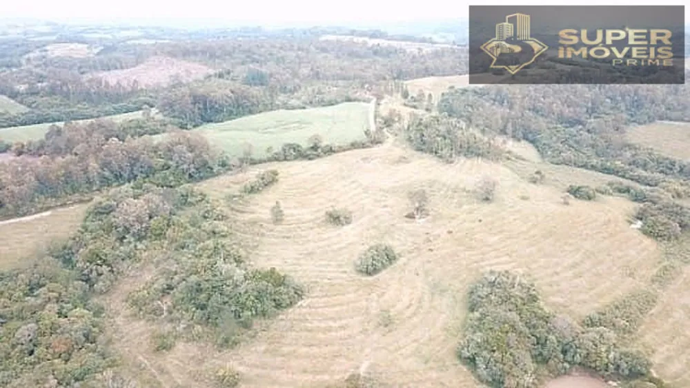 Sítio, 4 quartos, 45 hectares - Foto 19