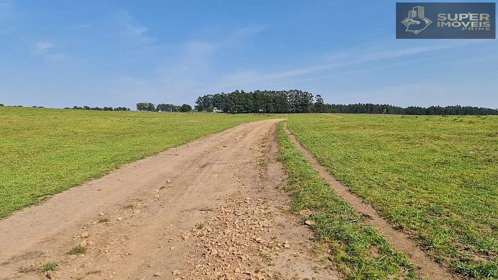 Fazenda, 875 hectares - Foto 5