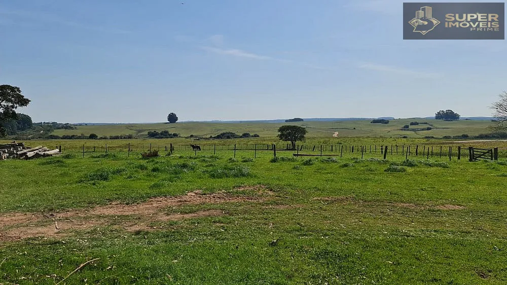 Fazenda, 875 hectares - Foto 12