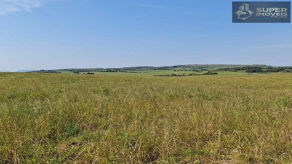 Fazenda, 875 hectares - Foto 1
