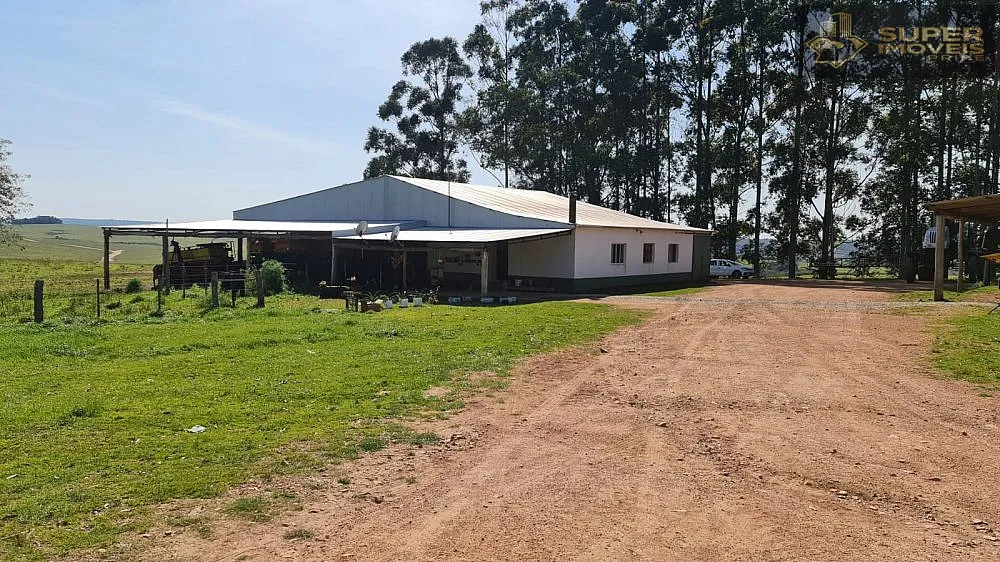 Fazenda, 875 hectares - Foto 11