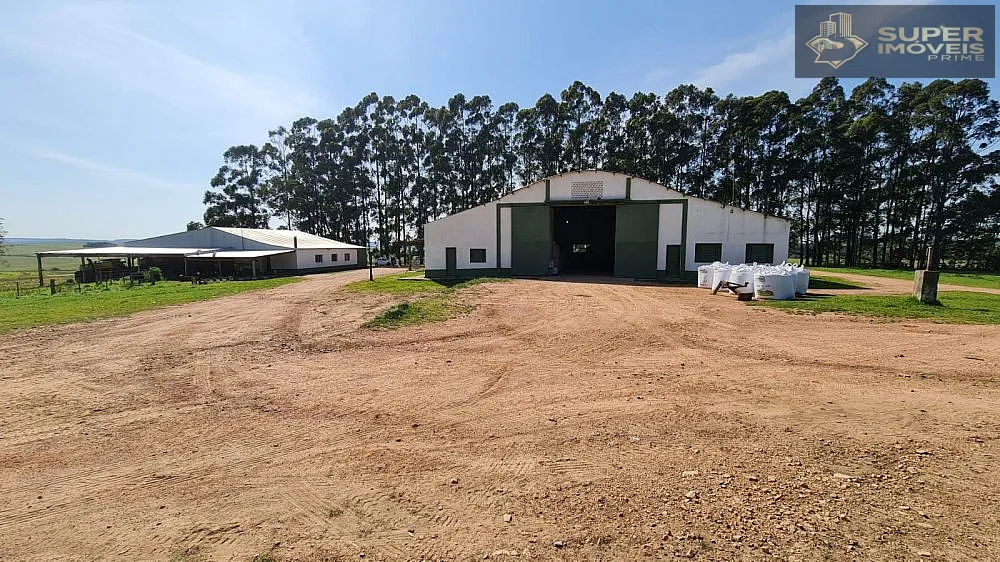 Fazenda, 875 hectares - Foto 6