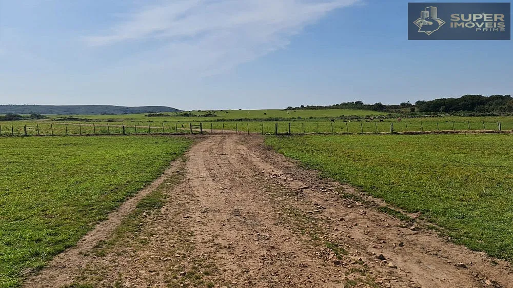 Fazenda, 875 hectares - Foto 4
