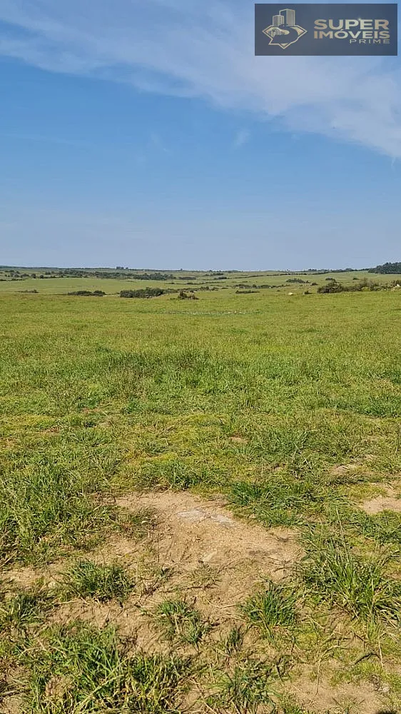 Fazenda, 875 hectares - Foto 9