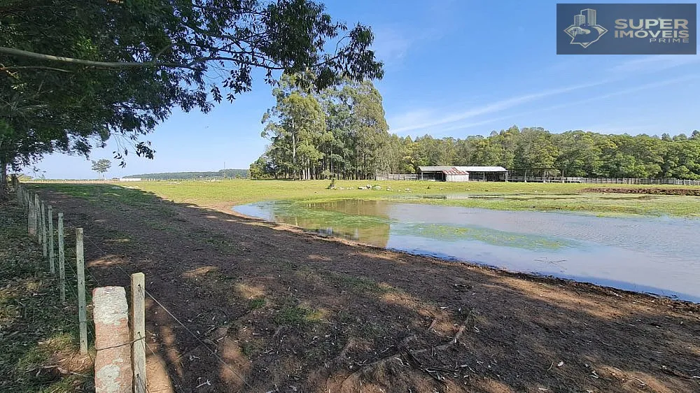 Fazenda, 875 hectares - Foto 1