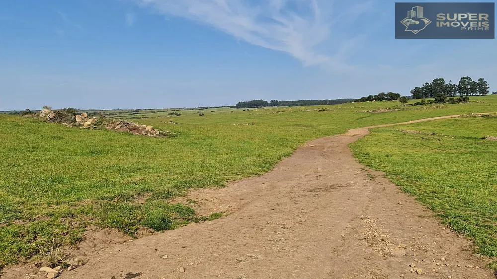 Fazenda, 875 hectares - Foto 7