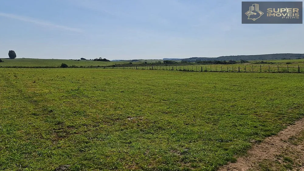 Fazenda, 875 hectares - Foto 10