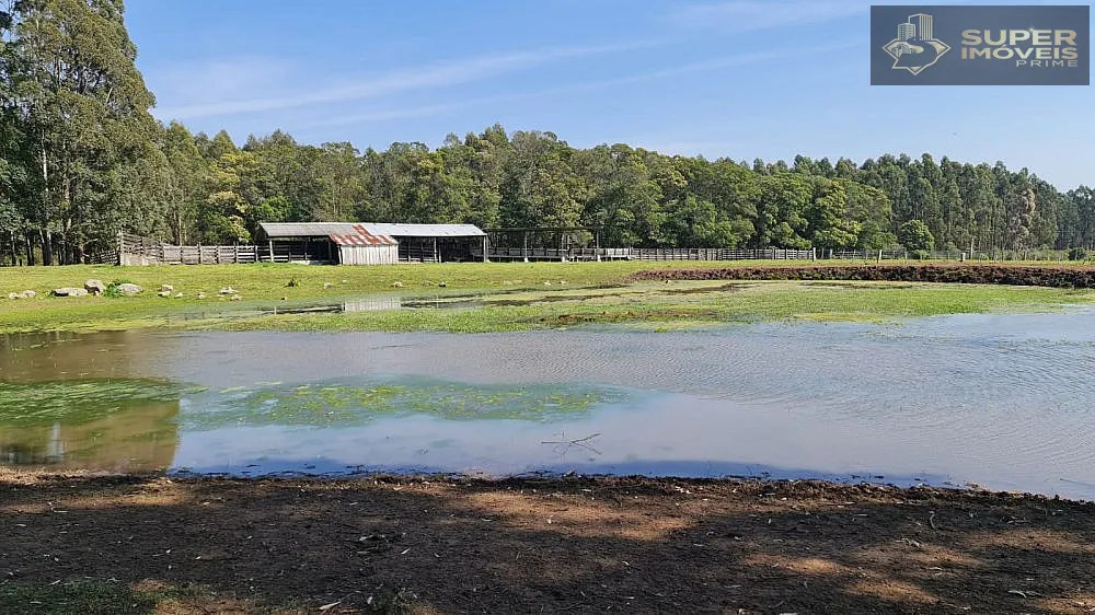 Fazenda, 875 hectares - Foto 15