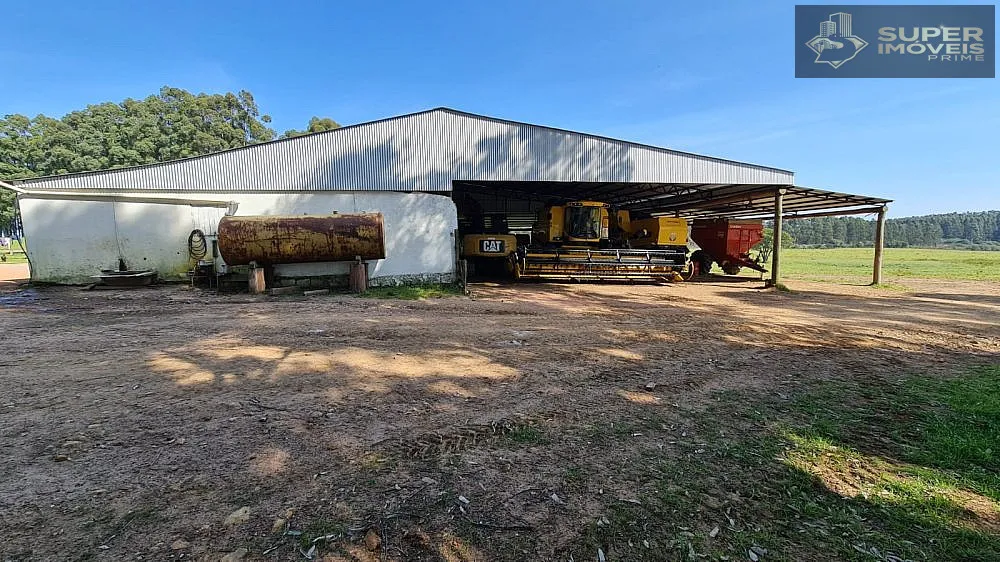 Fazenda, 875 hectares - Foto 2