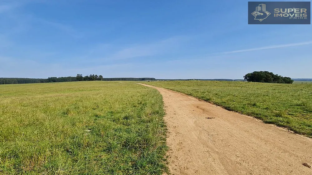 Fazenda, 875 hectares - Foto 16