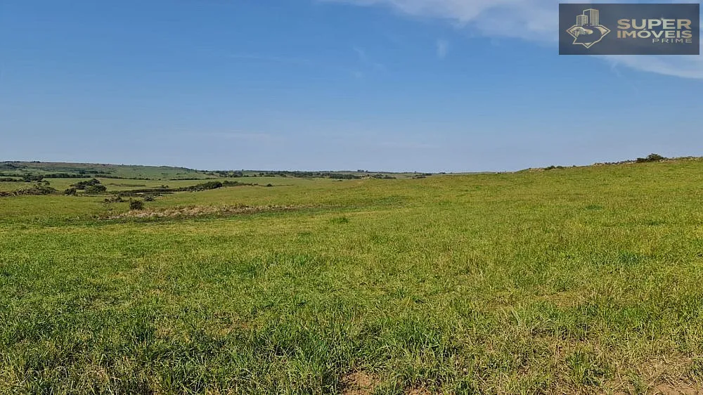 Fazenda, 875 hectares - Foto 18