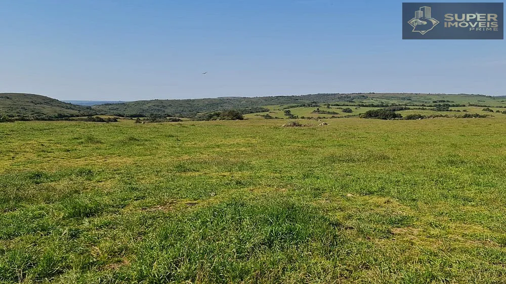 Fazenda, 875 hectares - Foto 13