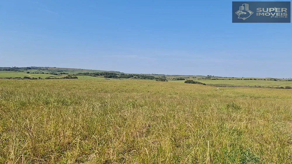 Fazenda, 875 hectares - Foto 11