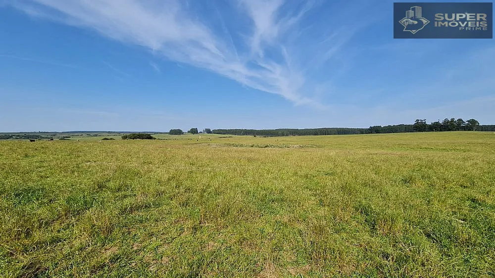 Fazenda, 875 hectares - Foto 19