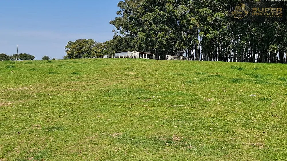 Fazenda, 875 hectares - Foto 16