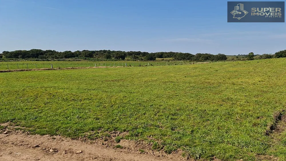 Fazenda, 875 hectares - Foto 13
