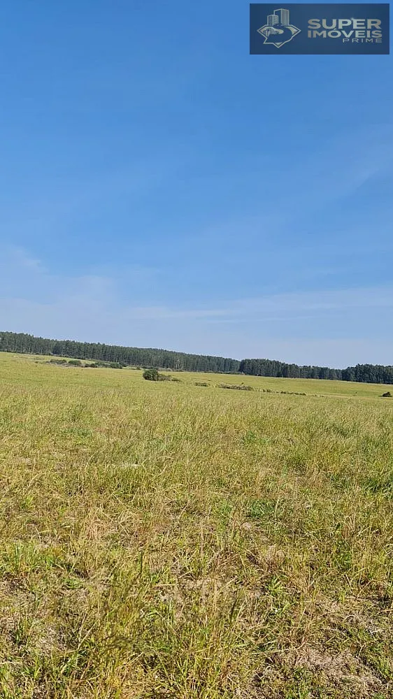 Fazenda, 875 hectares - Foto 24