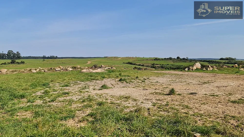 Fazenda, 875 hectares - Foto 3