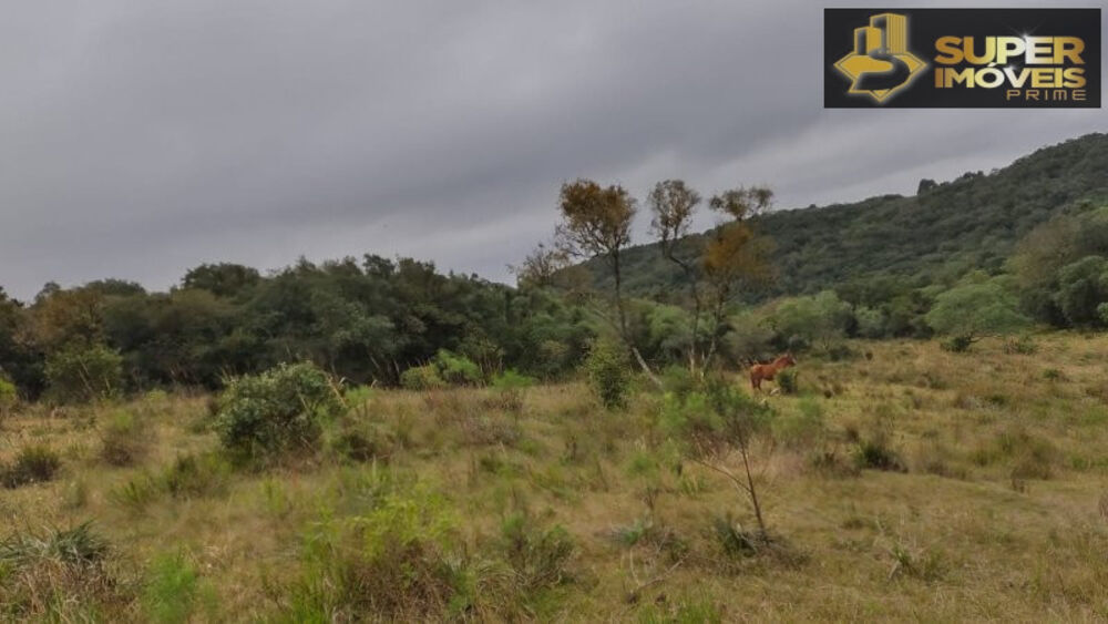 Fazenda à venda com 4 quartos, 2600000m² - Foto 12