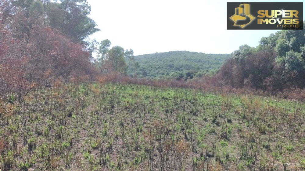 Fazenda à venda com 4 quartos, 2600000m² - Foto 17