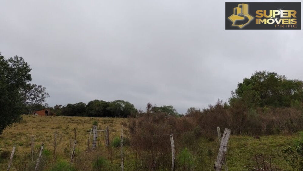 Fazenda à venda com 4 quartos, 2600000m² - Foto 11