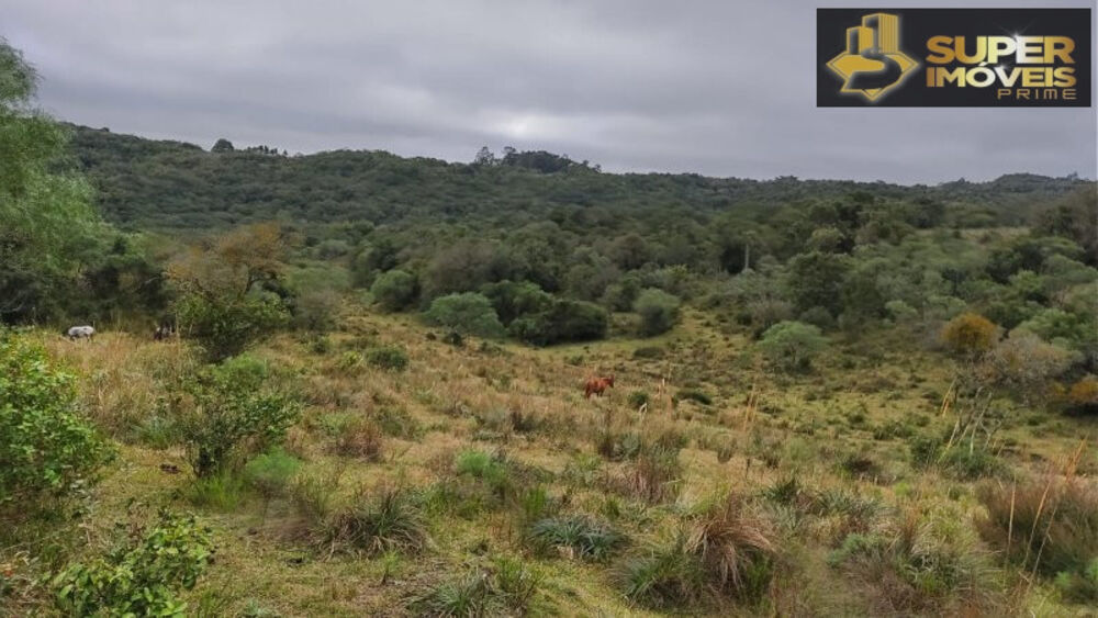 Fazenda à venda com 4 quartos, 2600000m² - Foto 3