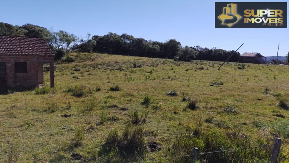 Fazenda à venda com 4 quartos, 2600000m² - Foto 9