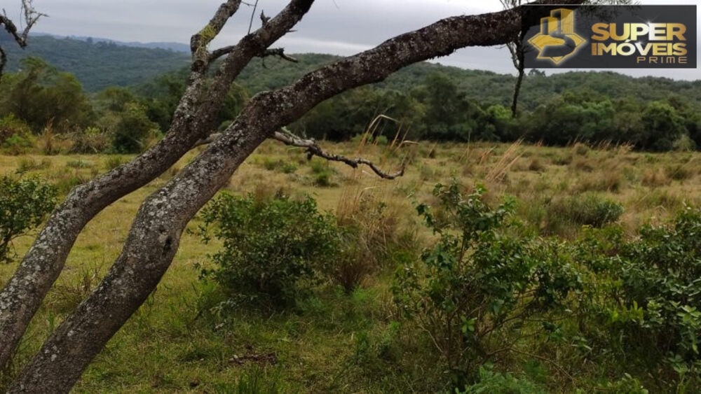 Fazenda à venda com 4 quartos, 2600000m² - Foto 14