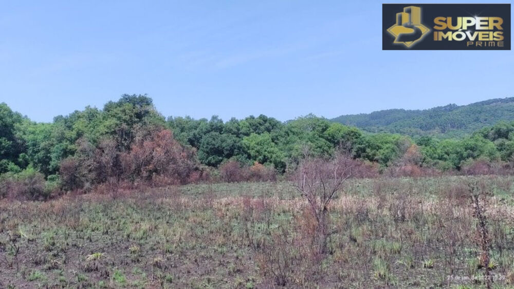Fazenda à venda com 4 quartos, 2600000m² - Foto 15
