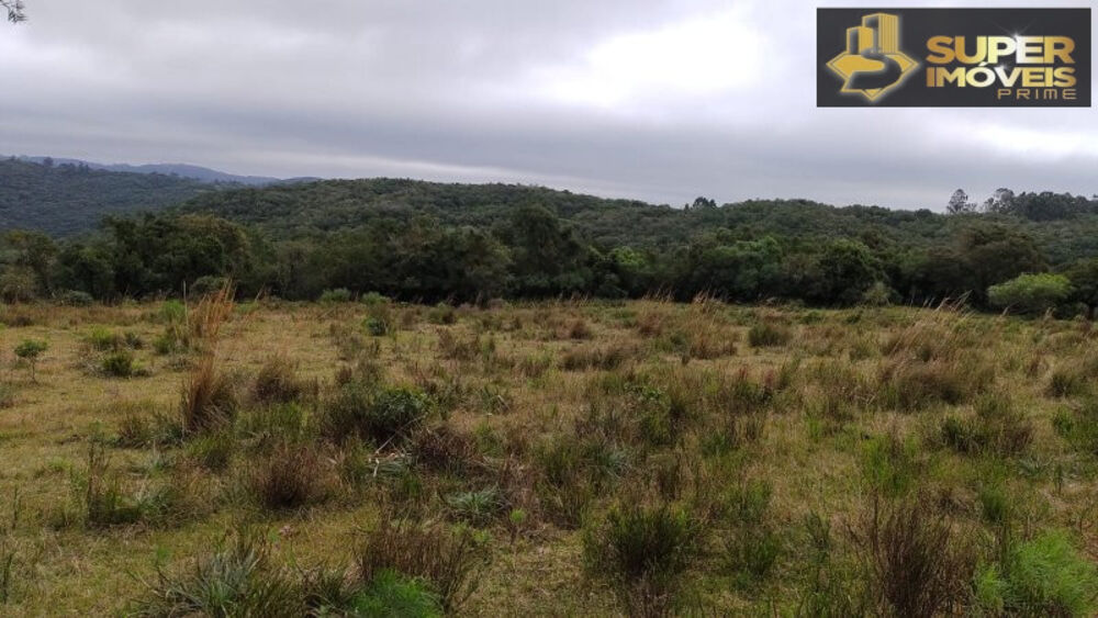 Fazenda à venda com 4 quartos, 2600000m² - Foto 6