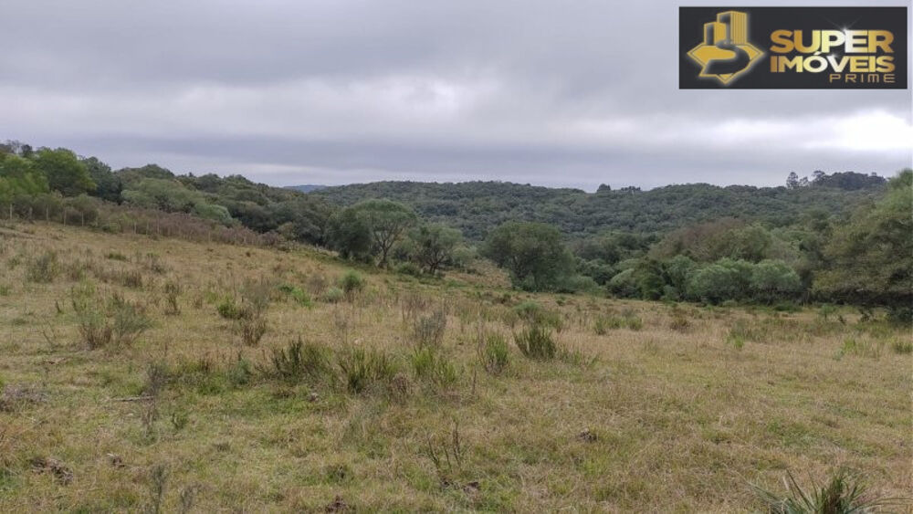 Fazenda à venda com 4 quartos, 2600000m² - Foto 19