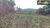 Fazenda, 260 hectares - Foto 17