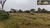 Fazenda, 260 hectares - Foto 13