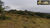 Fazenda, 260 hectares - Foto 5