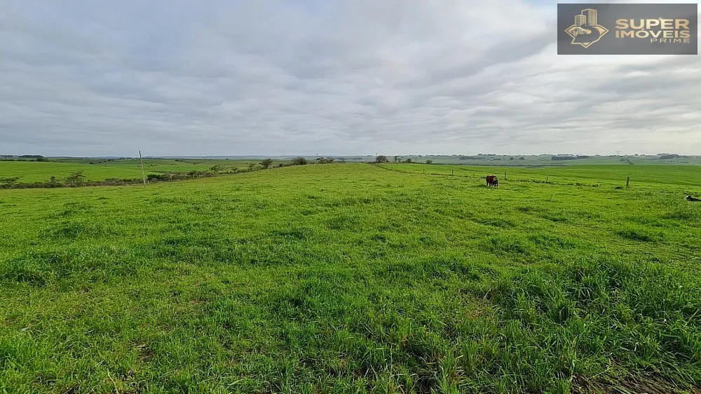 Fazenda, 200 hectares - Foto 6