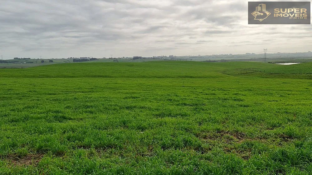 Fazenda, 200 hectares - Foto 4