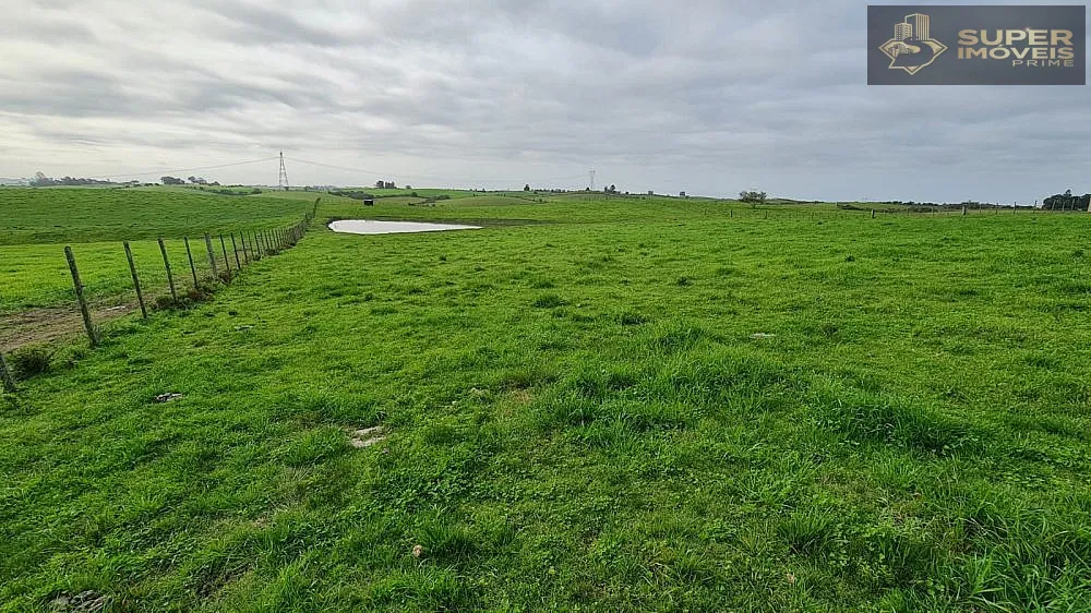 Fazenda, 200 hectares - Foto 10