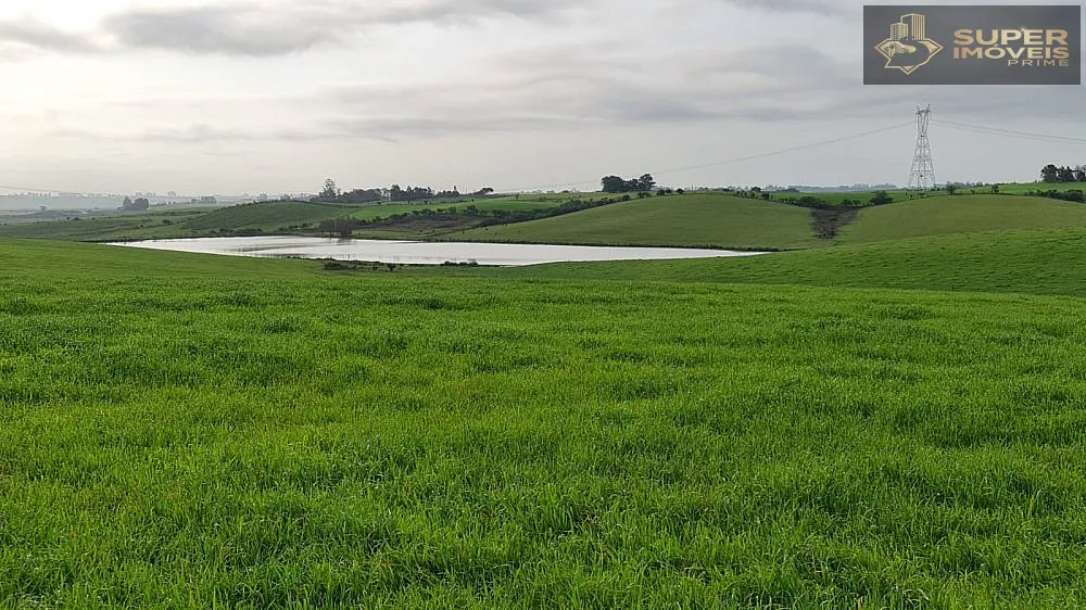 Fazenda, 200 hectares - Foto 7