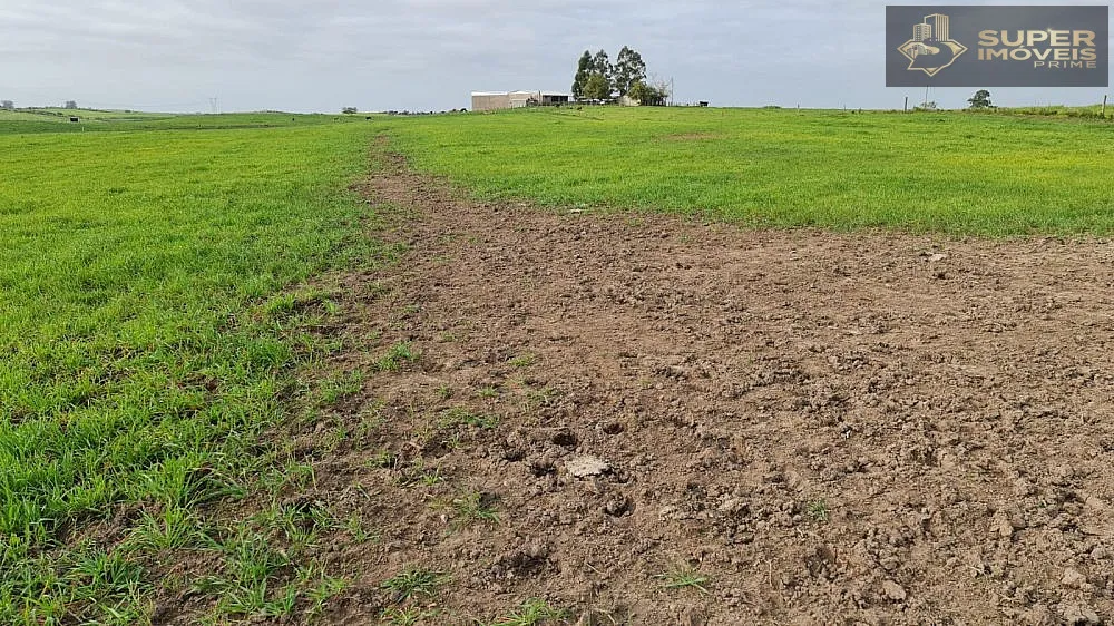 Fazenda, 200 hectares - Foto 2