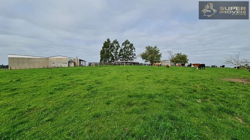 Fazenda, 200 hectares - Foto 1