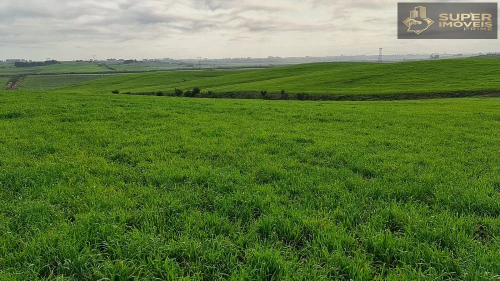Fazenda, 200 hectares - Foto 3