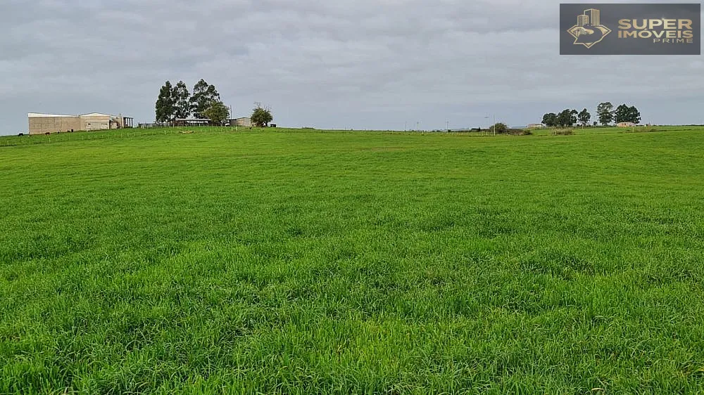 Fazenda, 200 hectares - Foto 3