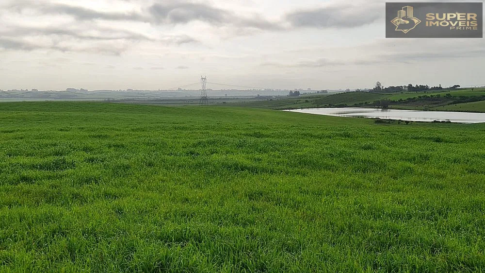 Fazenda, 200 hectares - Foto 11