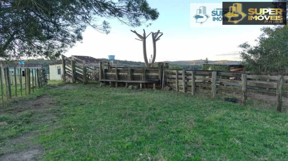 Sítio à venda com 2 quartos, 260000m² - Foto 6