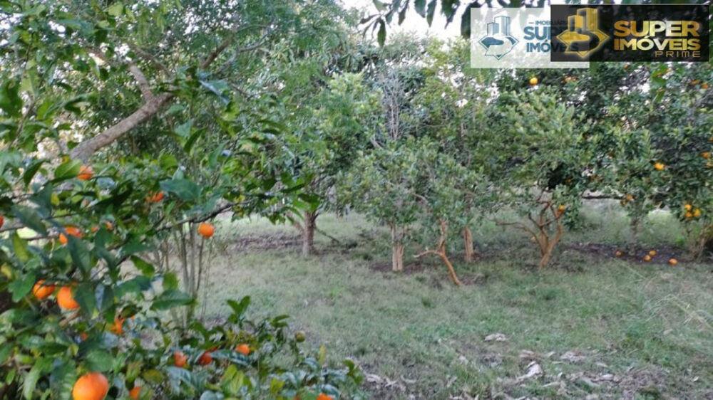 Sítio à venda com 2 quartos, 260000m² - Foto 5