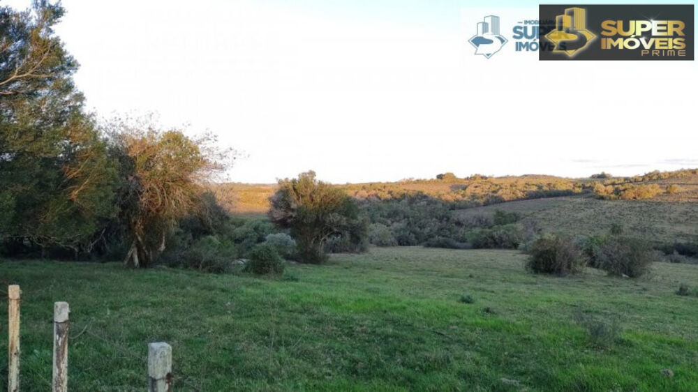 Sítio à venda com 2 quartos, 260000m² - Foto 7