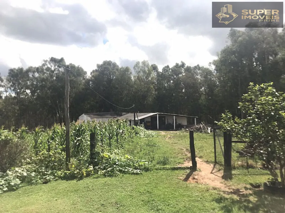 Sítio, 7 quartos, 12 hectares - Foto 11