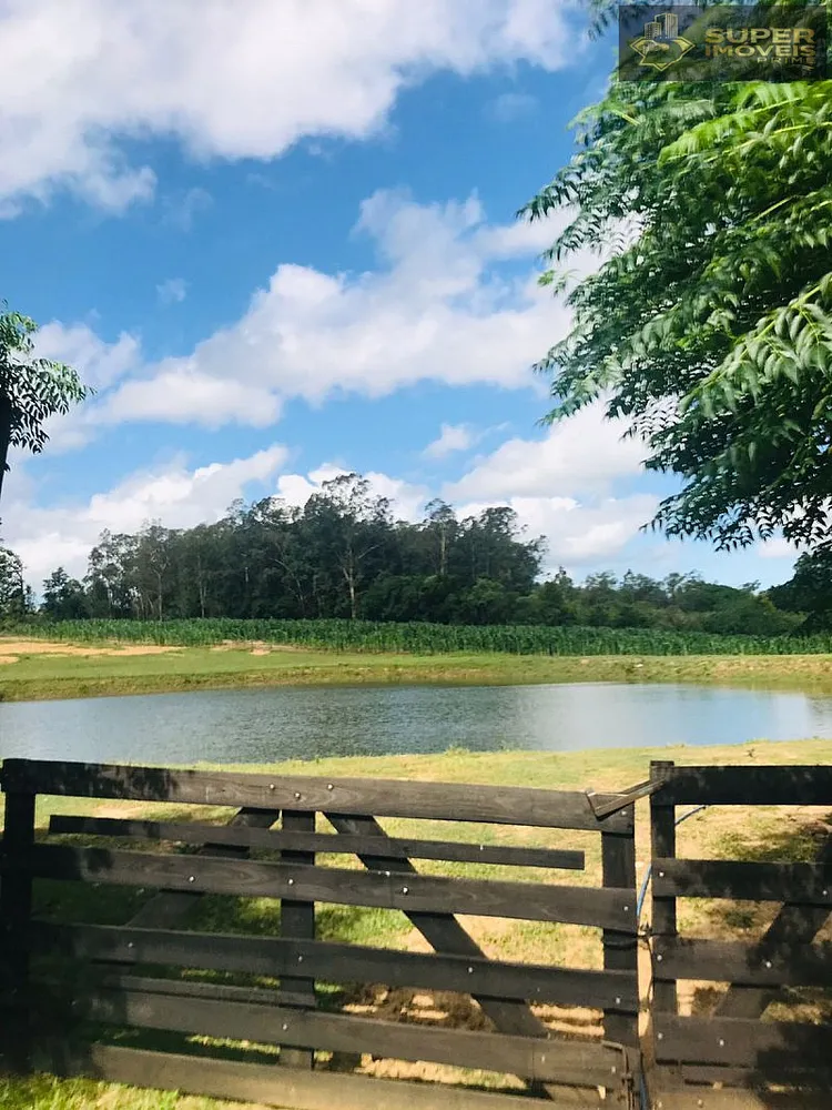 Sítio, 7 quartos, 12 hectares - Foto 4