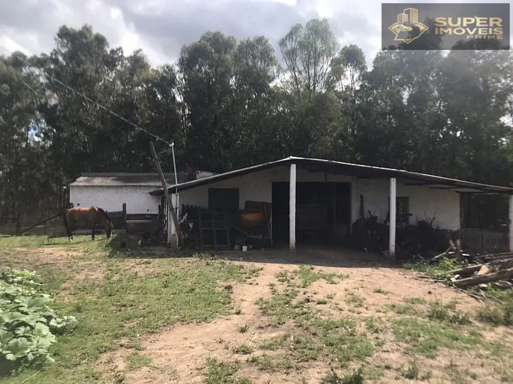 Sítio, 7 quartos, 12 hectares - Foto 12